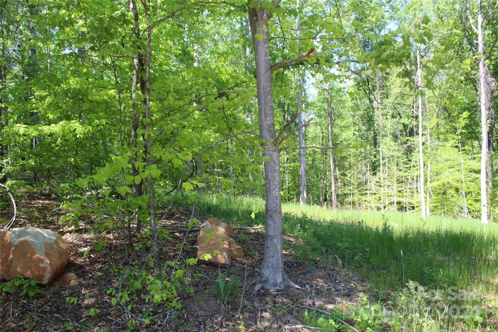0000 Davis Circle Clover, SC 29710
