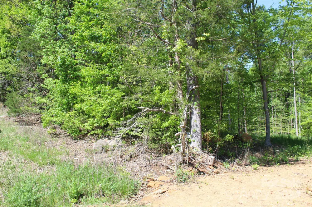 0000 Davis Circle Clover, SC 29710
