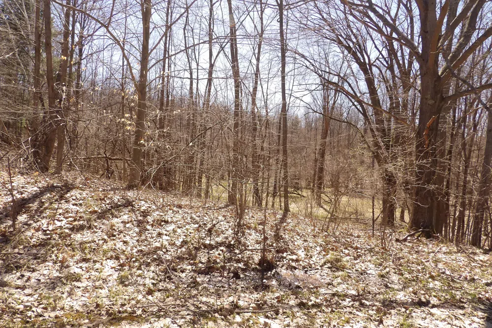 23042 Miramichi Drive Evart, MI 49631