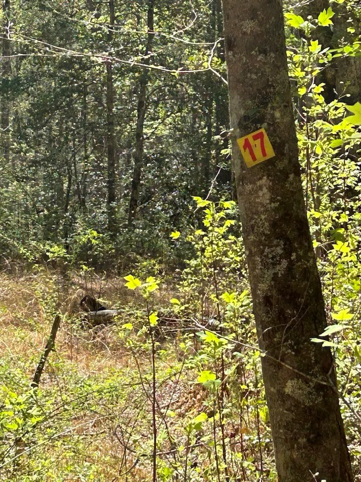 Oak View Rd Whittier, NC 28789