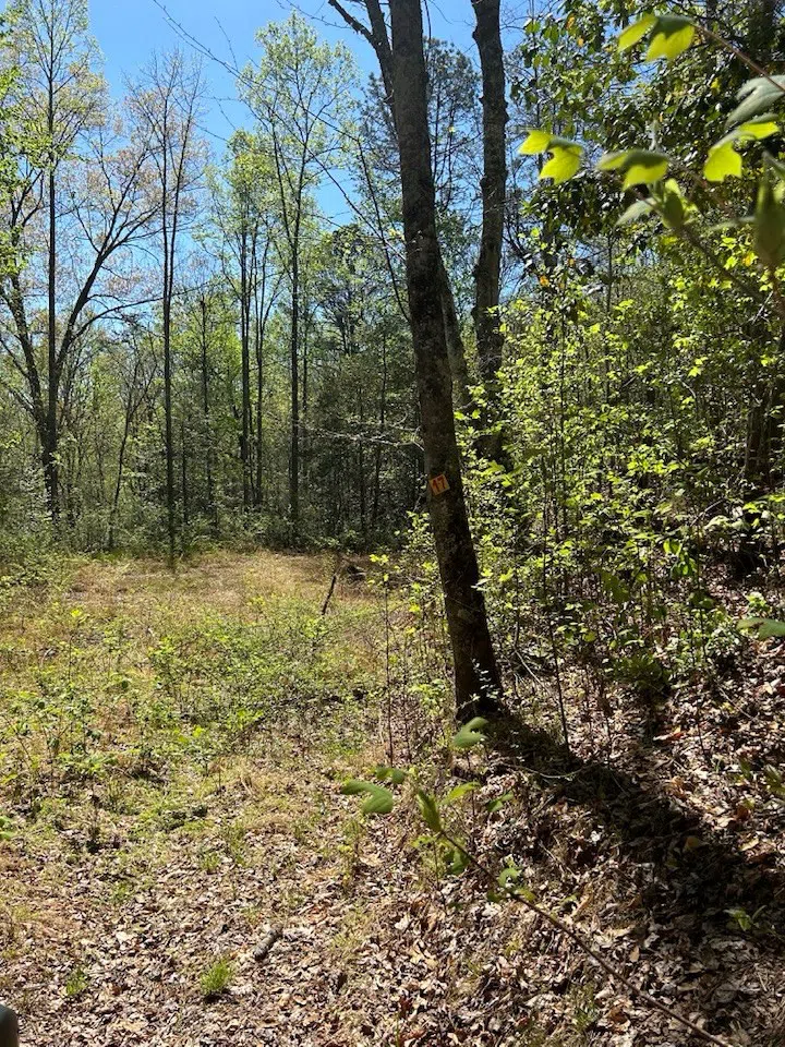 Oak View Rd Whittier, NC 28789