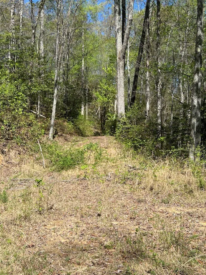 Oak View Rd Whittier, NC 28789