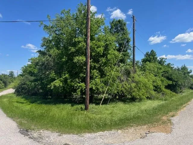 21046 Hill Terrace Court Whitney, TX 76692
