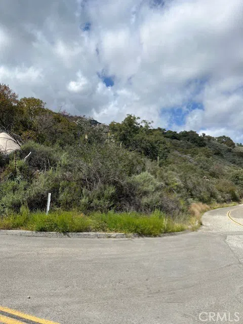 Carancho Road