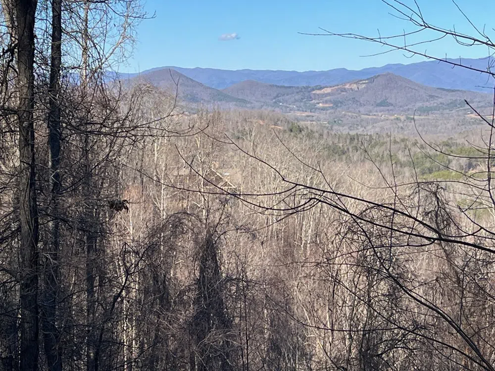 Lot 3 Morgan Ridge Drive Young Harris, GA 30582
