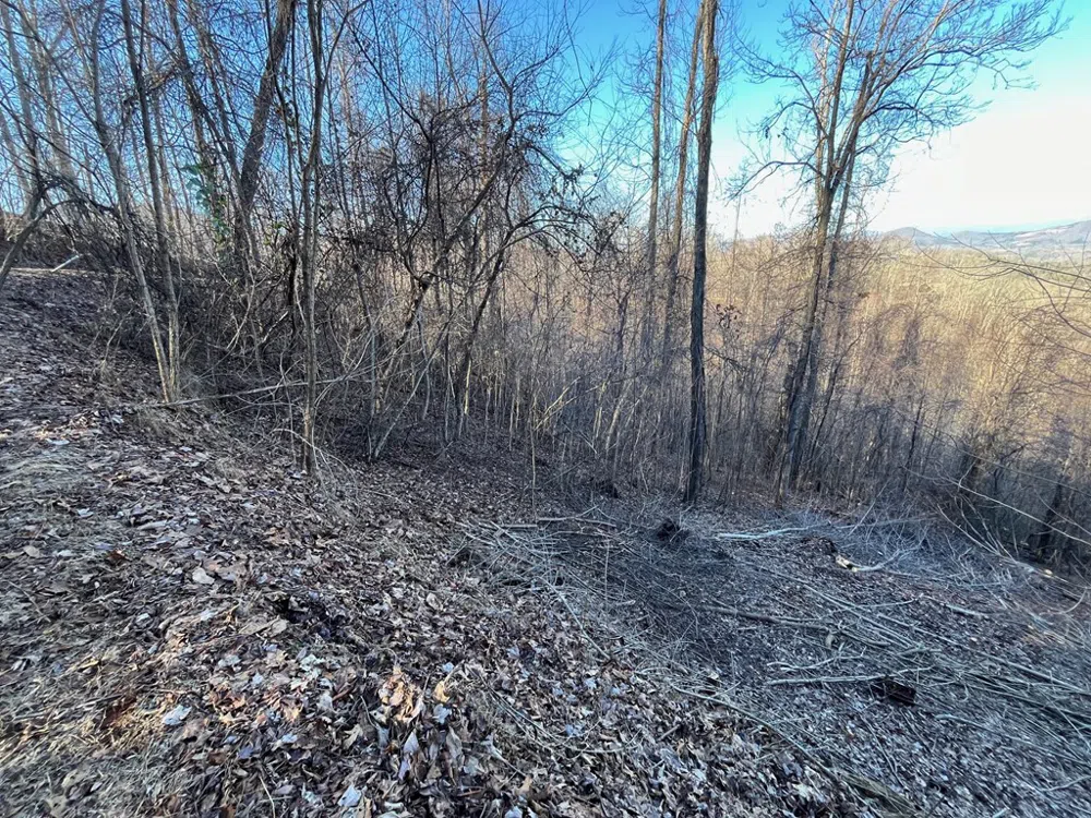 Lot 3 Morgan Ridge Drive Young Harris, GA 30582