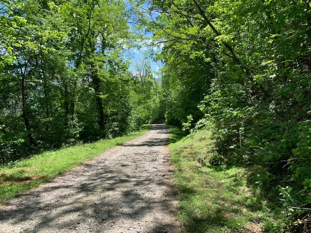 Lot 3 Morgan Ridge Drive Young Harris, GA 30582