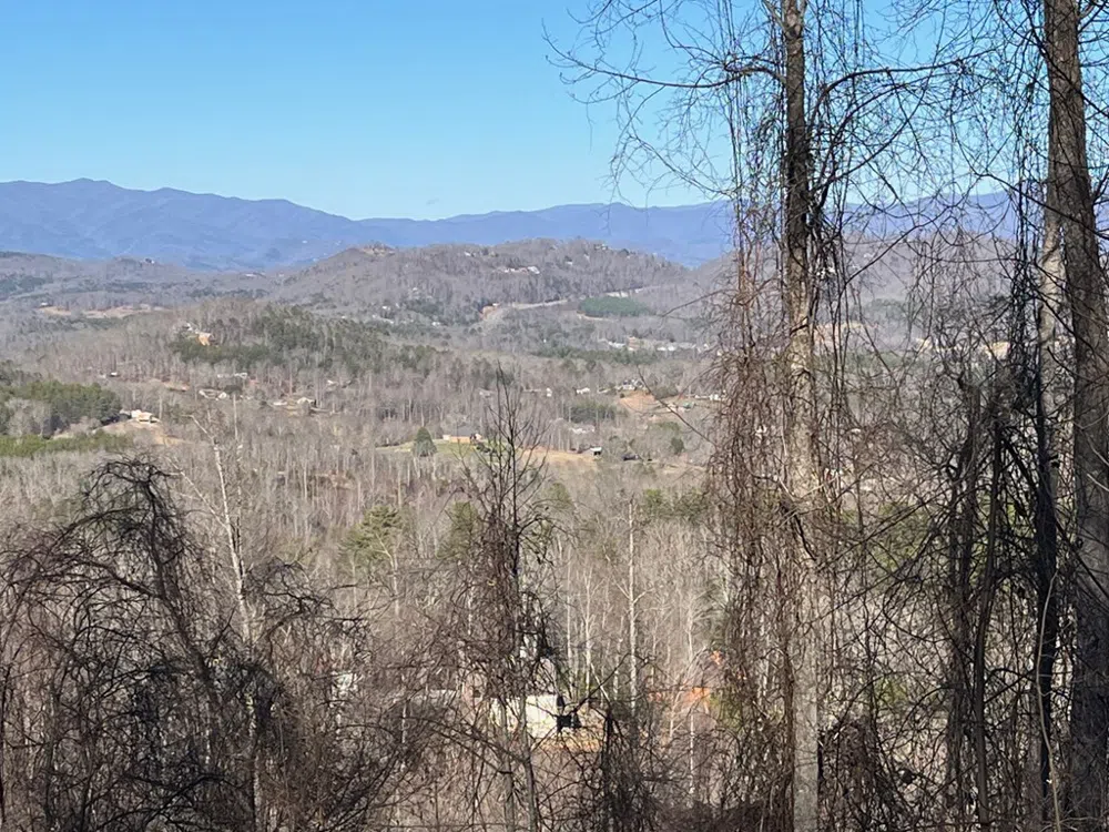 Lot 3 Morgan Ridge Drive Young Harris, GA 30582