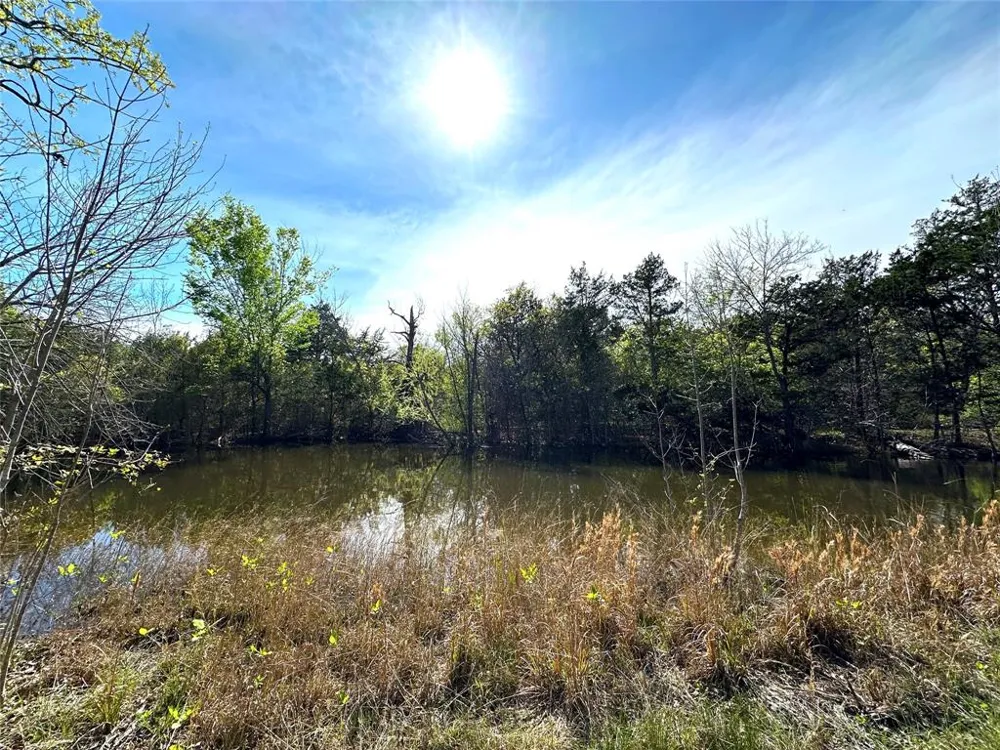 SW 3070 ROAD Purdon, TX 76679