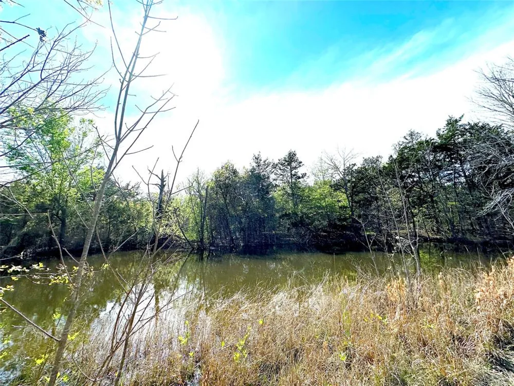 SW 3070 ROAD Purdon, TX 76679