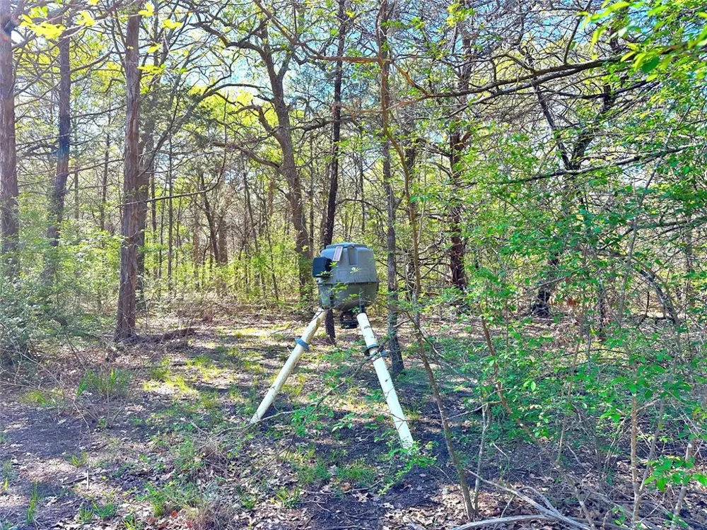 SW 3070 ROAD Purdon, TX 76679
