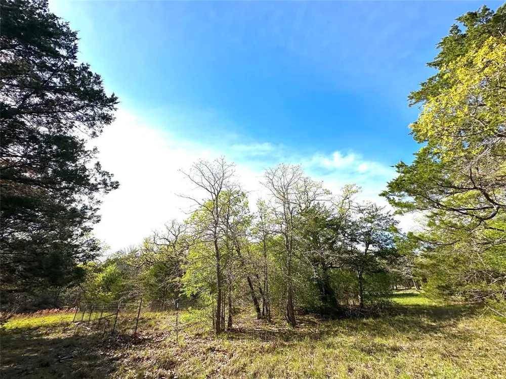 SW 3070 ROAD Purdon, TX 76679