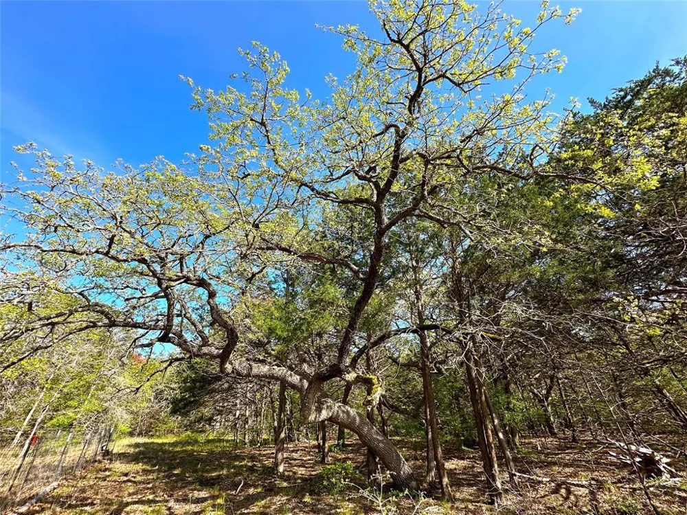 SW 3070 ROAD Purdon, TX 76679