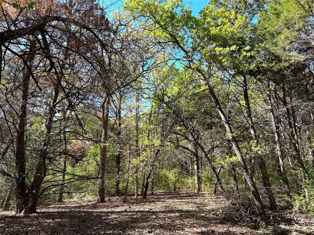SW 3070 ROAD Purdon, TX 76679