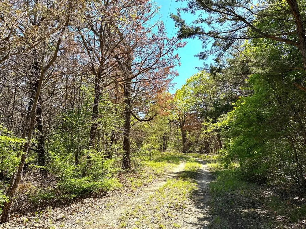 SW 3070 ROAD Purdon, TX 76679