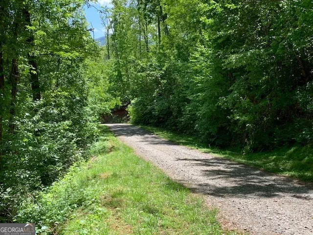 LOT 3 Morgan Ridge DR Young Harris, GA 30582