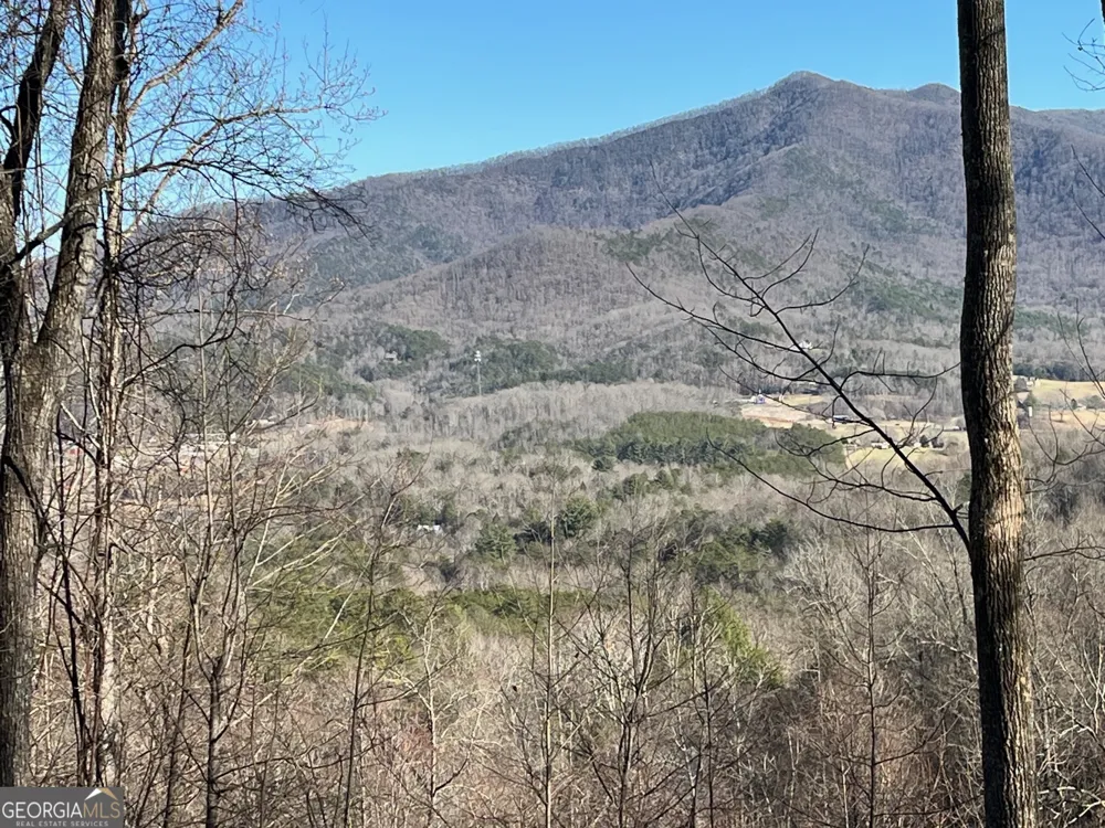 LOT 3 Morgan Ridge DR Young Harris, GA 30582