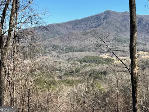 LOT 3 Morgan Ridge DR