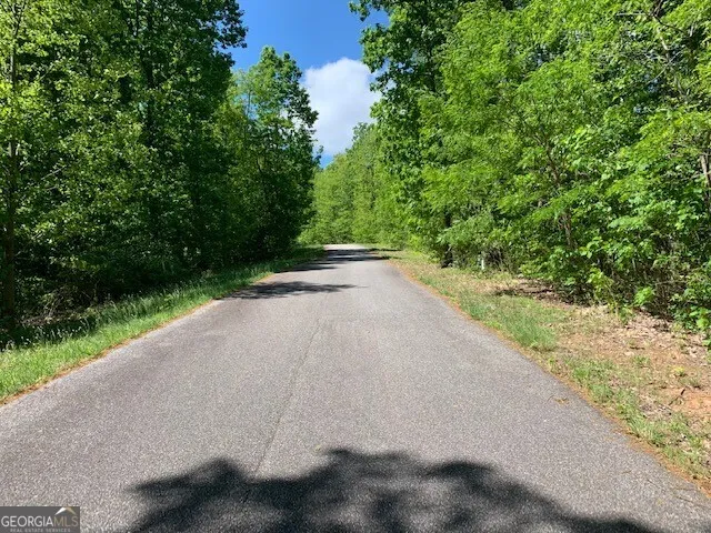 LOT 4 Morgan Ridge DR Young Harris, GA 30582