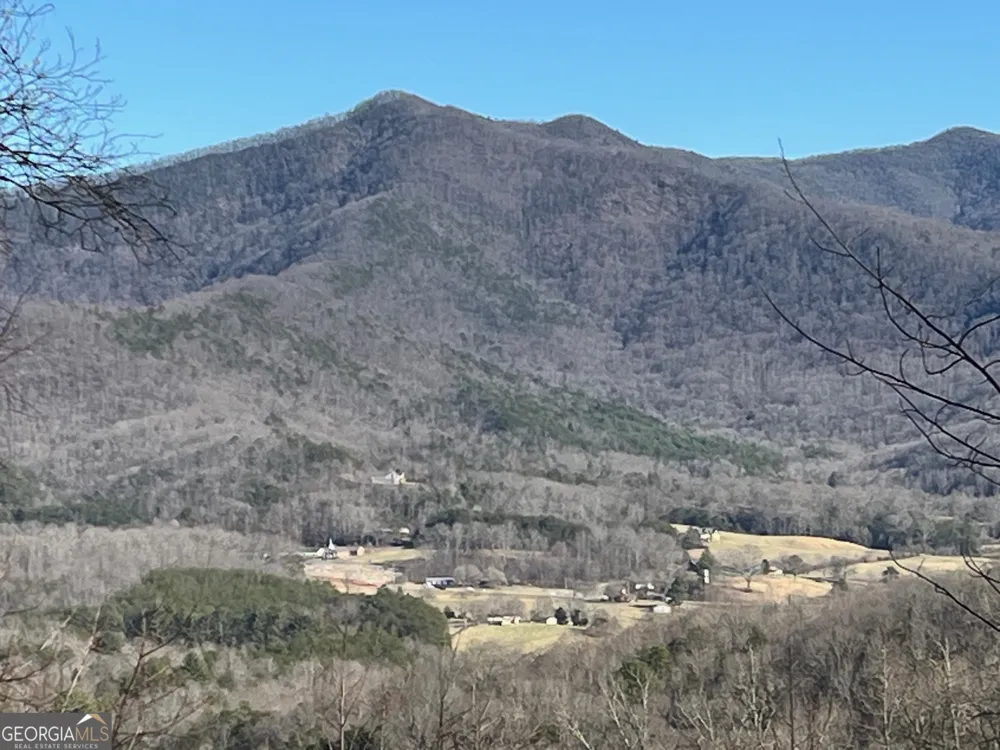 LOT 4 Morgan Ridge DR Young Harris, GA 30582