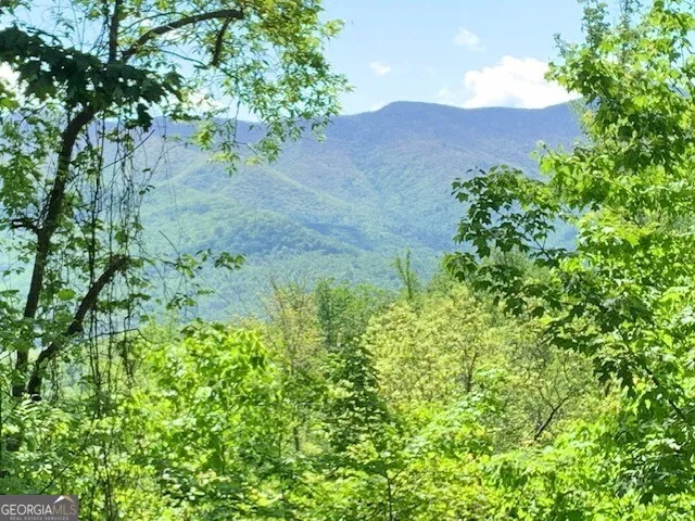 LOT 4 Morgan Ridge DR Young Harris, GA 30582