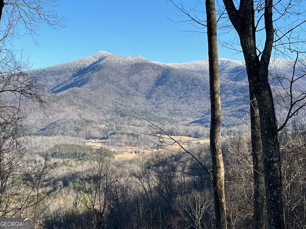 LOT 4 Morgan Ridge DR Young Harris, GA 30582