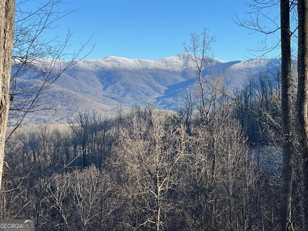 LOT 4 Morgan Ridge DR Young Harris, GA 30582