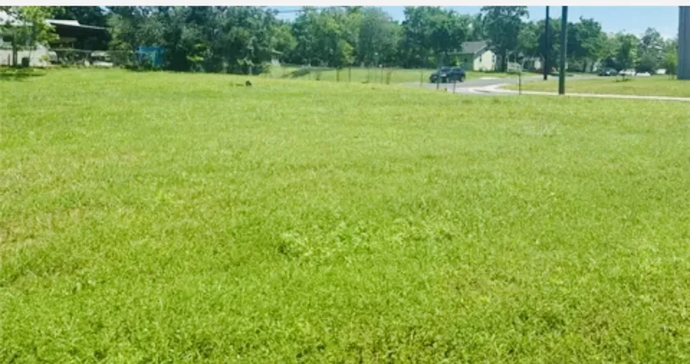 510 W Brenham Street Elgin, TX 78621