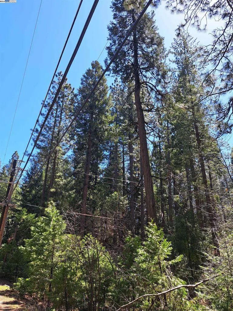 Sly Park Pollock Pines, CA 95726