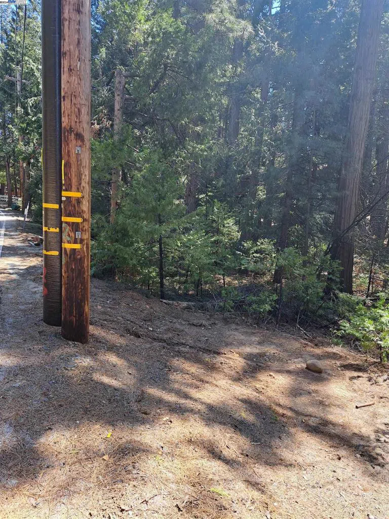 Sly Park Pollock Pines, CA 95726