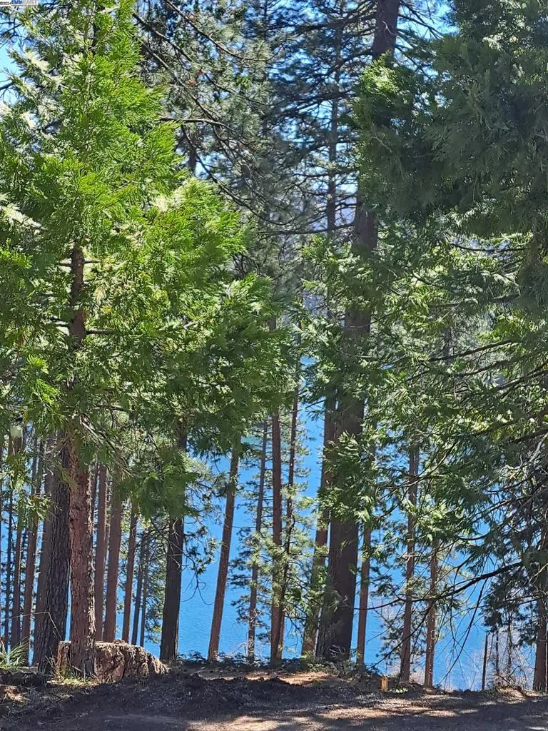 Sly Park Pollock Pines, CA 95726