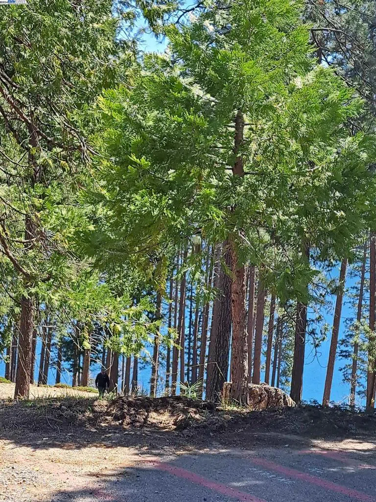 Sly Park Pollock Pines, CA 95726