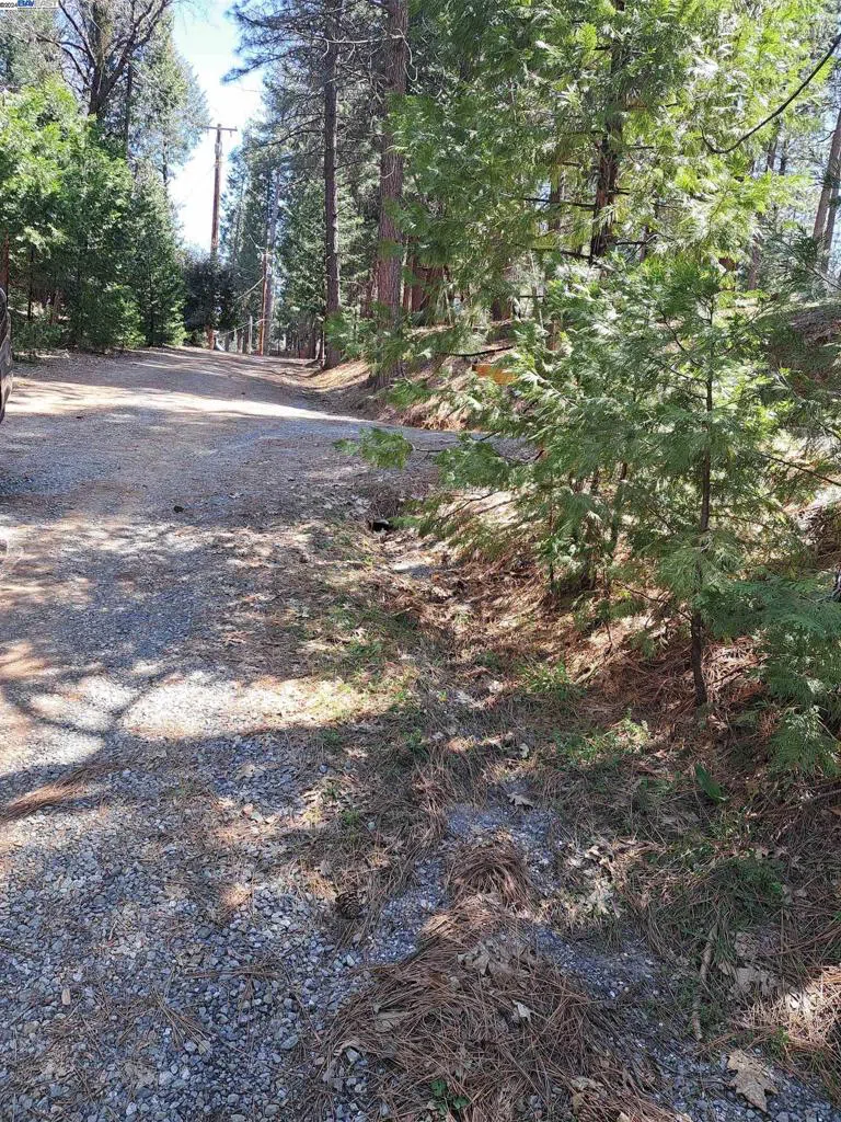 Sly Park Pollock Pines, CA 95726