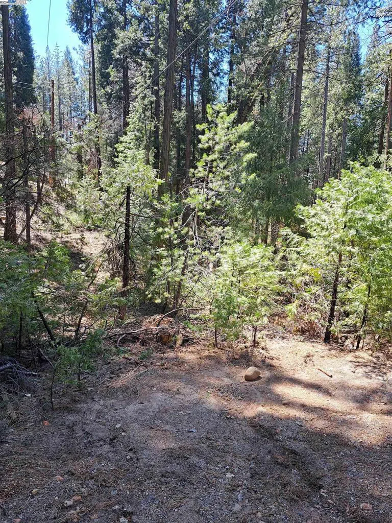 Sly Park Pollock Pines, CA 95726