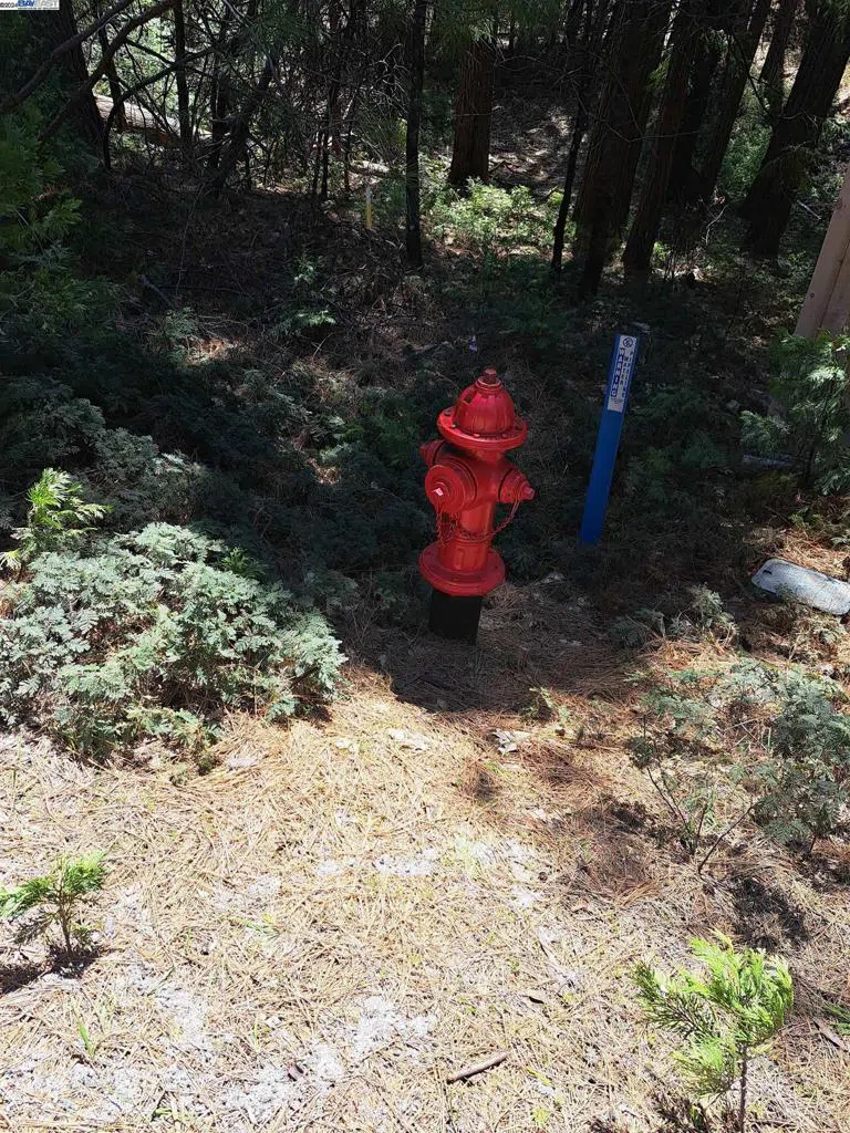 Sly Park Pollock Pines, CA 95726