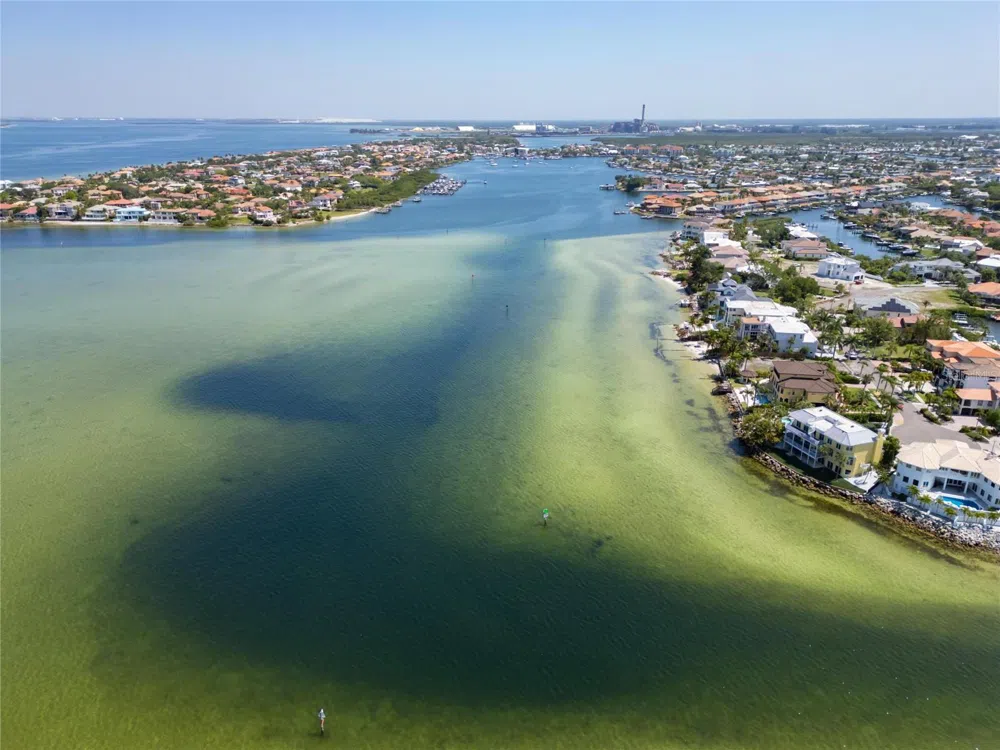 1013 SYMPHONY ISLES BOULEVARD Apollo Beach, FL 33572
