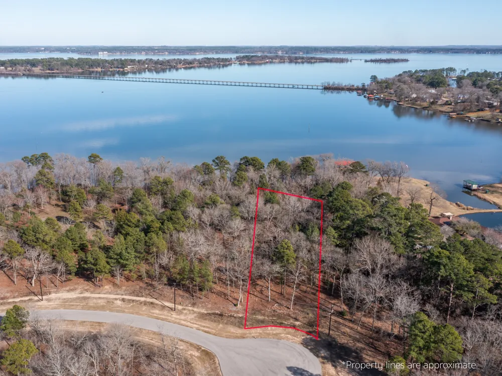 3104 Shadow Pine Drive Larue, TX 75770