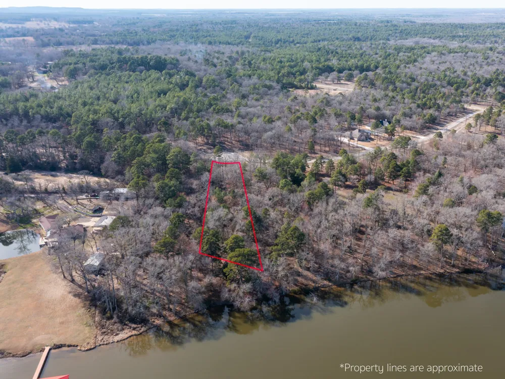3104 Shadow Pine Drive Larue, TX 75770