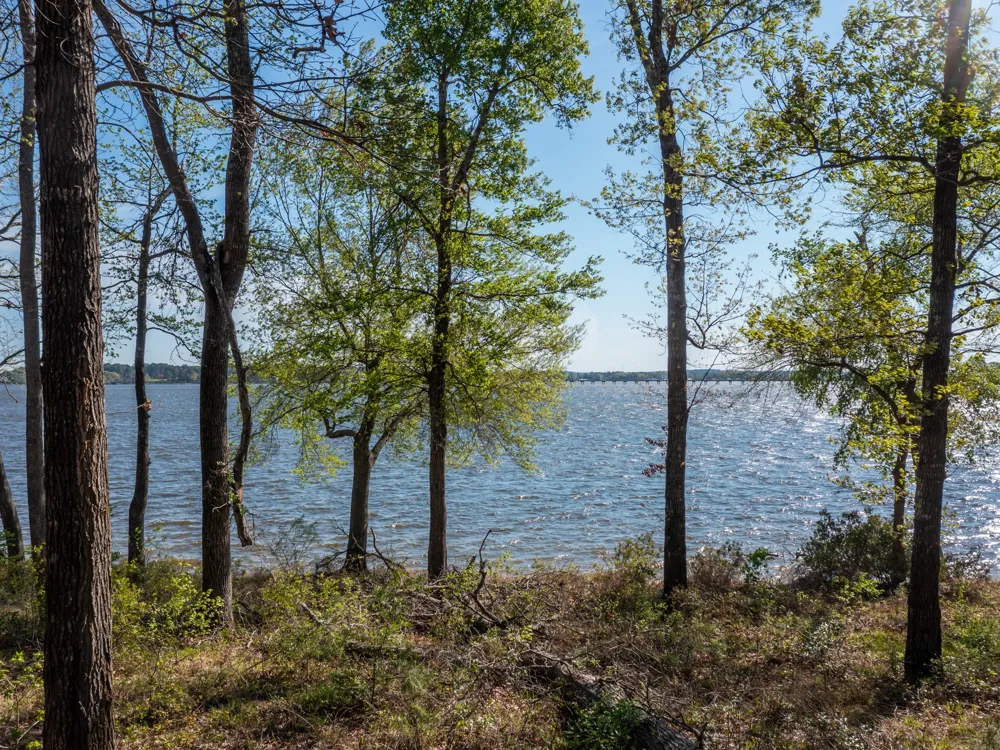 3104 Shadow Pine Drive Larue, TX 75770