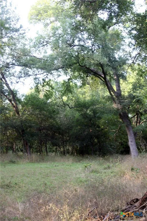 108 Sorrel Street Red Rock, TX 78662