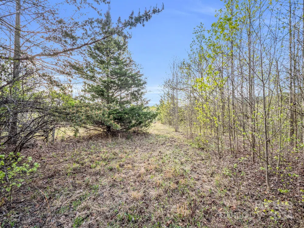 00 Equestrian Drive Bostic, NC 28018