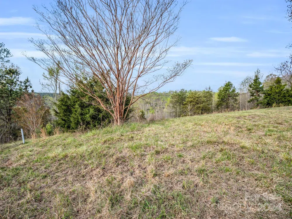 00 Equestrian Drive Bostic, NC 28018