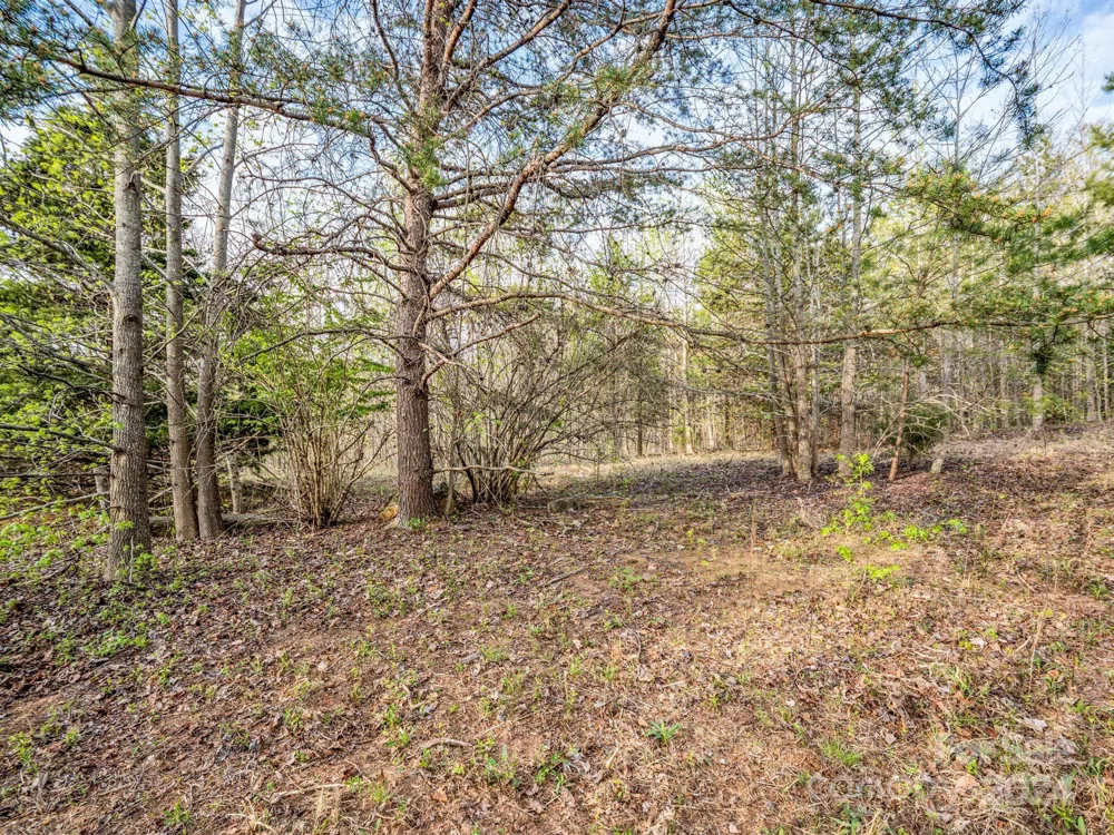 00 Equestrian Drive Bostic, NC 28018