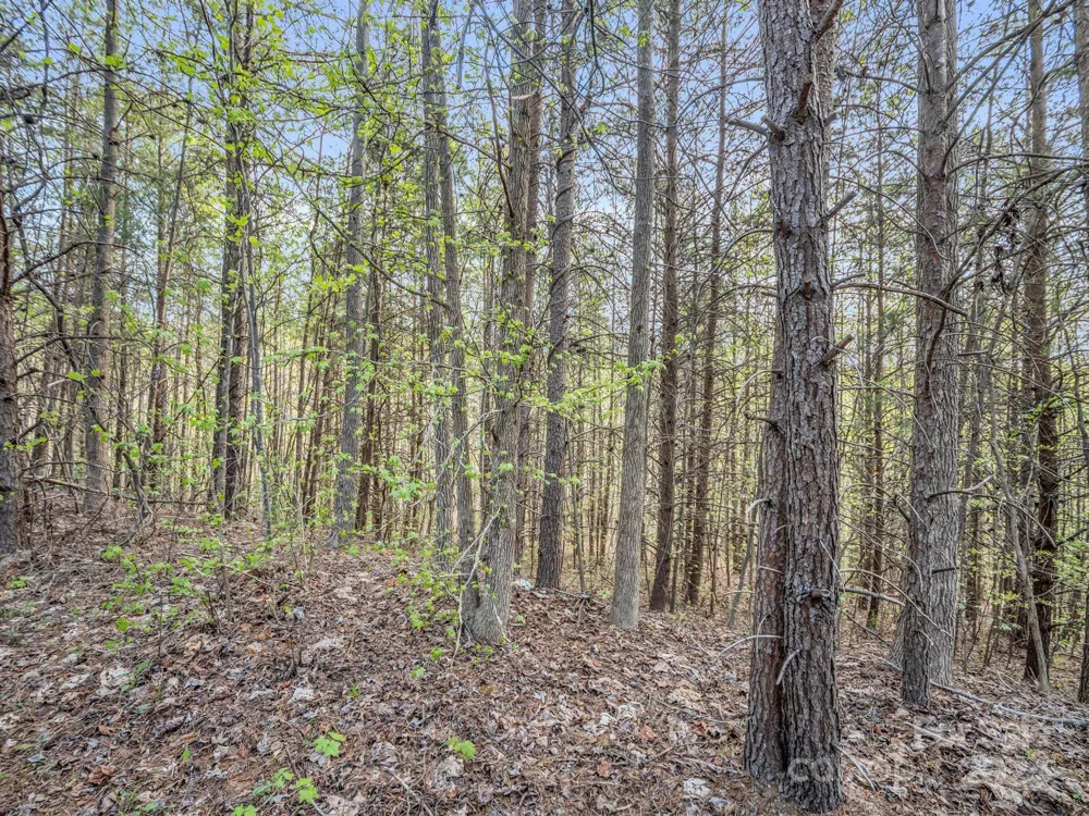 00 Equestrian Drive Bostic, NC 28018