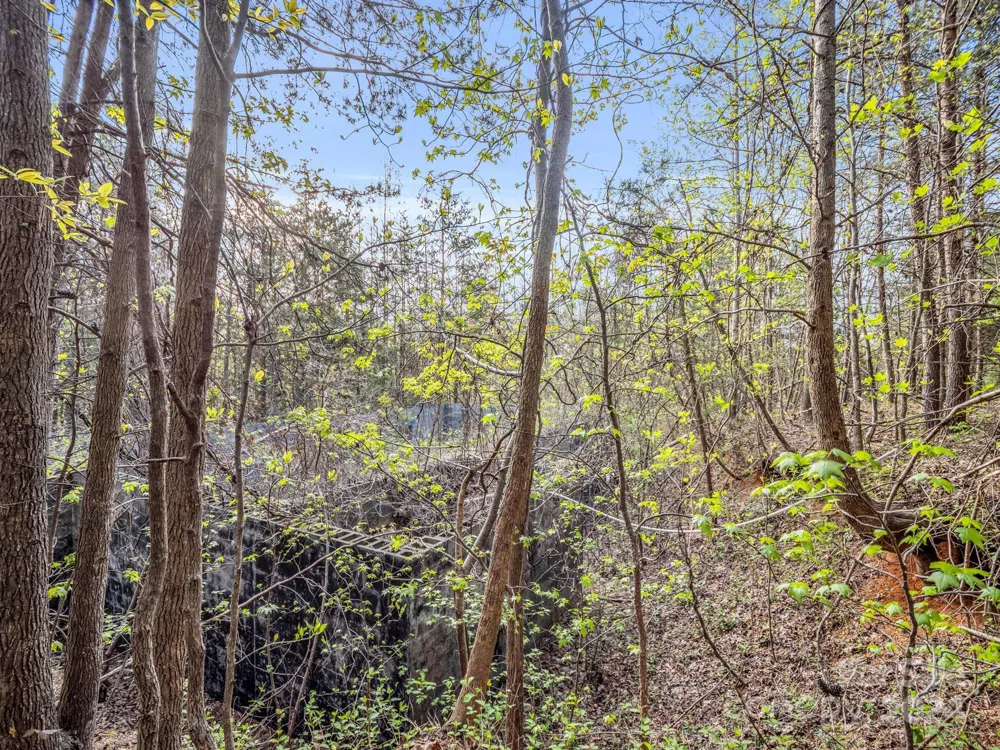00 Equestrian Drive Bostic, NC 28018