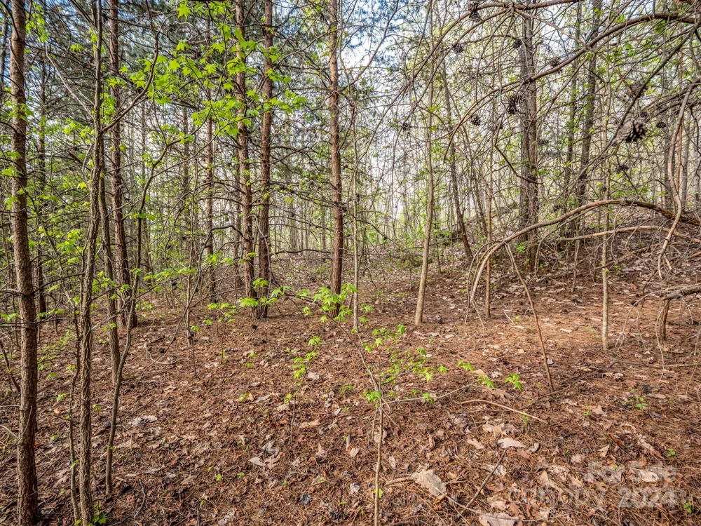 00 Equestrian Drive Bostic, NC 28018