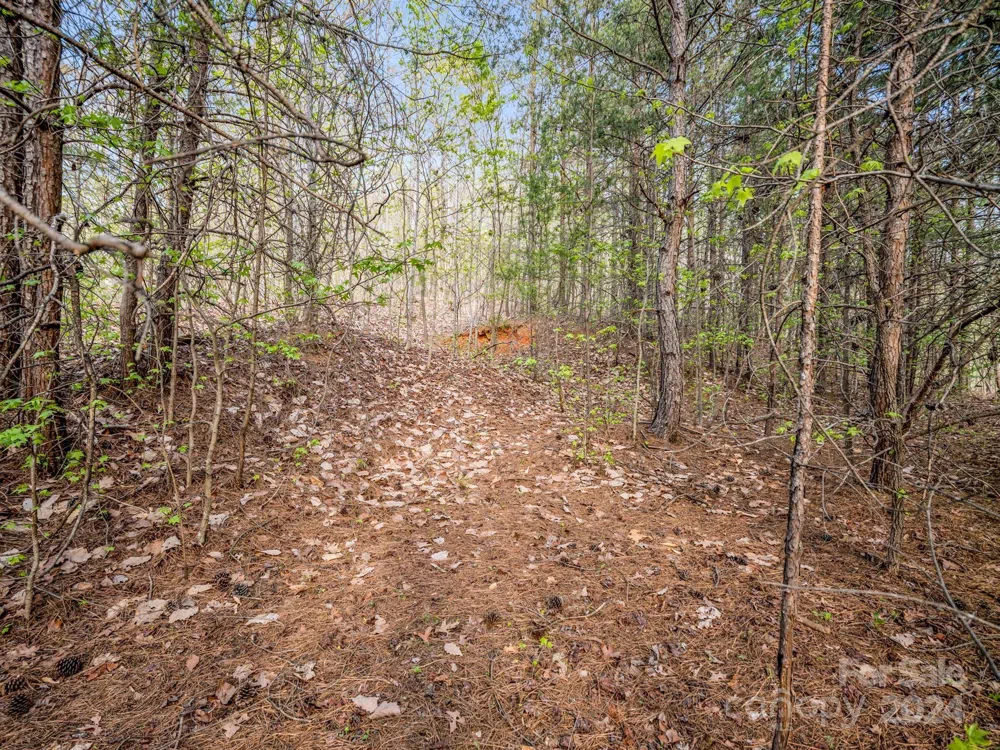 00 Equestrian Drive Bostic, NC 28018