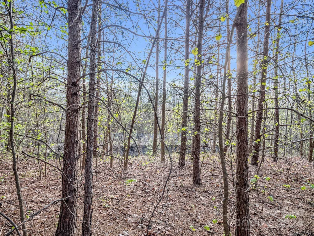 00 Equestrian Drive Bostic, NC 28018