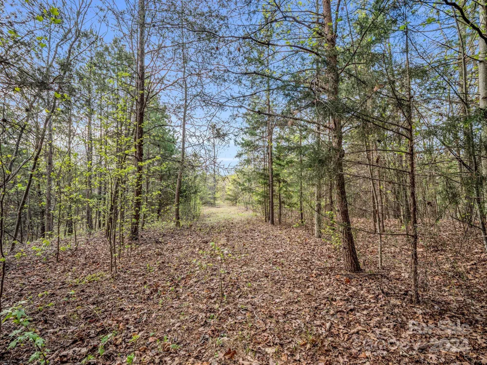00 Equestrian Drive Bostic, NC 28018