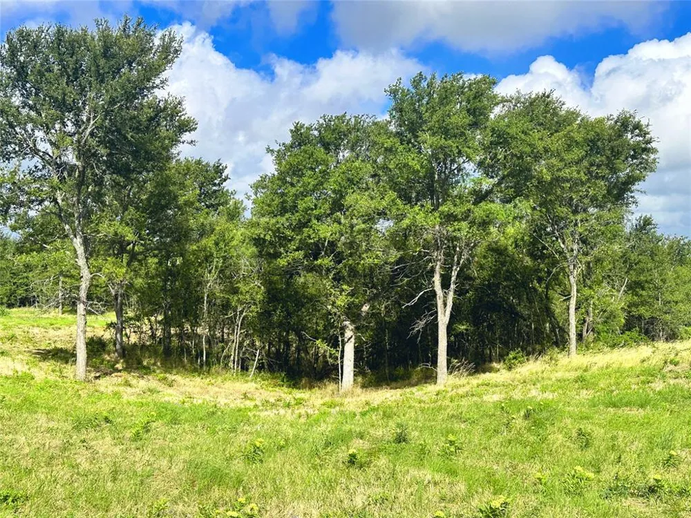 Sunset Court Corsicana, TX 75109